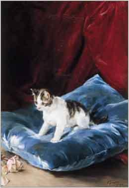 Marques, Francisco Domingo Cat oil painting image